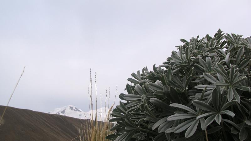 Illampu Trek Steves (154).JPG